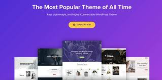 Premium Themes & Templates - Best for Resellers & Ecommerce